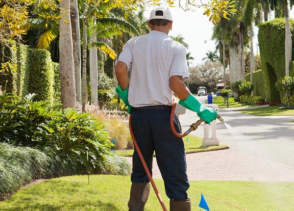 About Medimont ID Pest Control Pros